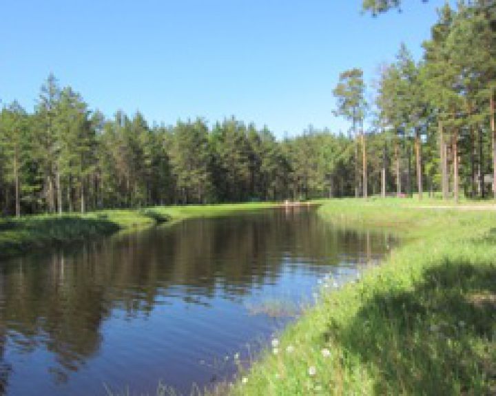 Nešvarus maudyklų vanduo kelia grėsmę sveikatai