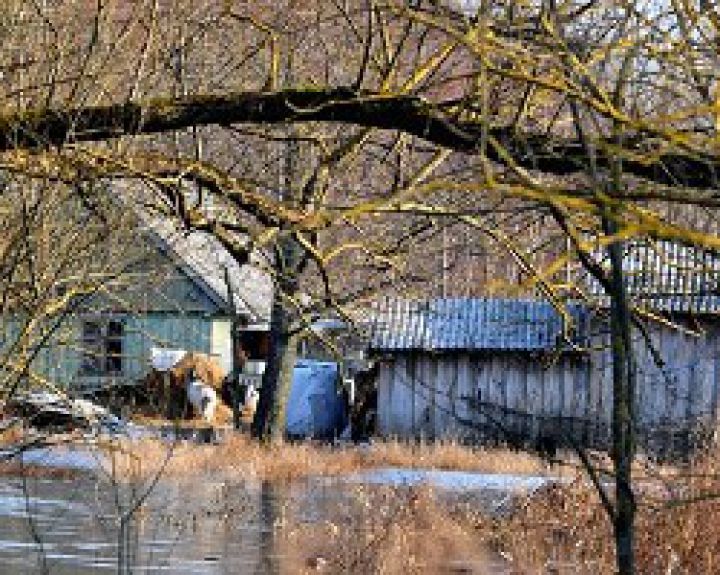 Klimato kaita ir jo poveikis sveikatai