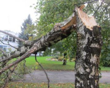 Perspėjimas apie pavojingą meteorologinį reiškinį - vėją