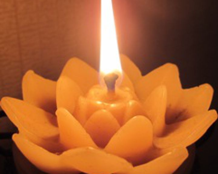 Žvakė ant donoro kapo