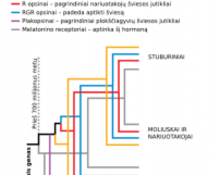 Genai iš niekur: stulbinanti našlaičių istorija