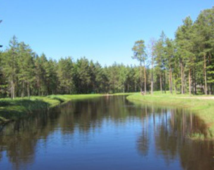 Draudikai pataria: būkite atsargūs poilsiaudami prie vandens  