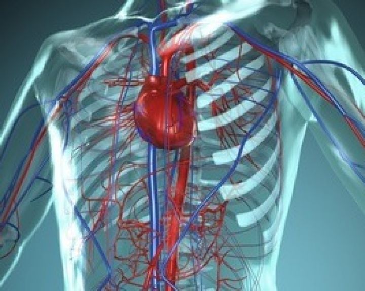 Biomedicinos inžinerijos naujovės: širdies veiklą sekantys marškinėliai ir nuskausminantis nervo stimuliatorius 