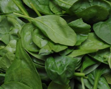 Vitaminas A imuninę sistemą skatina kovoti su tuberkulioze