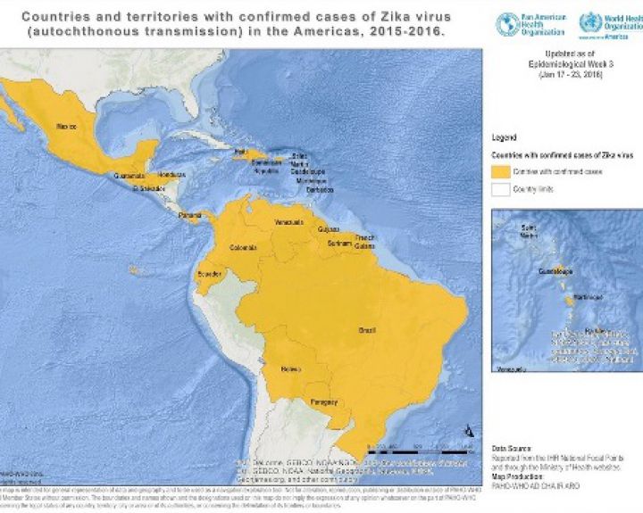Zika virusinė infekcija sparčiai plinta