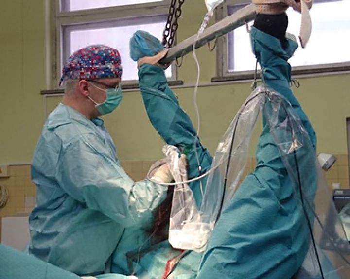 Lietuvos sveikatos mokslų universitete atlikta unikali žirgo operacija   