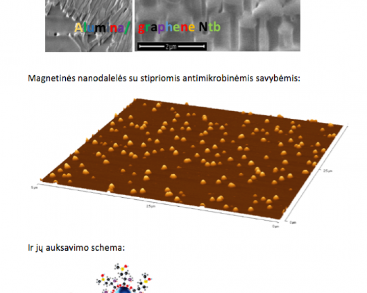 Nanomokslas sprendžia vis daugiau praktinių uždavinių