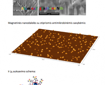 Nanomokslas sprendžia vis daugiau praktinių uždavinių