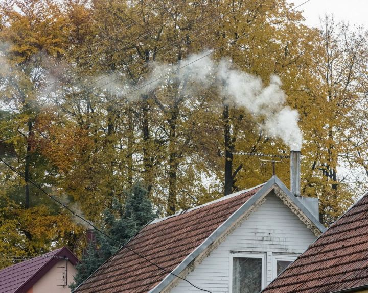    Jei apsinuodijote smalkėmis: ką daryti?