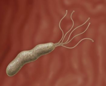 Kokią grėsmę sukelia Helicobacter pylori?