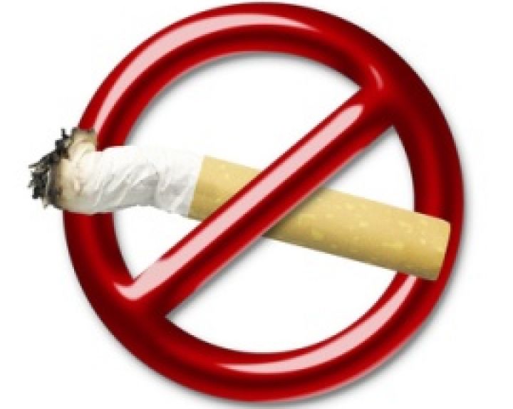 Nikotino pagalvėlės yra toksiškos ir Lietuvoje draudžiamos   