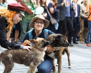 Kas būtų, jei neurobiologas su psichologu ir gydytoju kalbėtųsi dažniau?