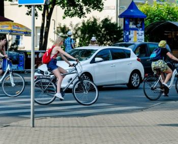  Emocijų valdymas prie vairo: meškos paslaugą gali padaryti ne tik pyktis