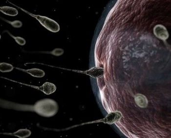 Turtingų šalių gyventojų spermos kiekis sumažėjo beveik 60 procentų