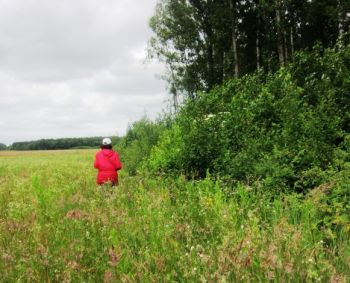 Kasdienis gryno oro gurkšnis – būtinybė