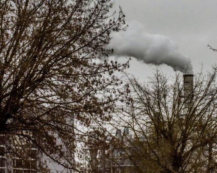 Kaip apsisaugoti nuo smogo sukeliamo neigiamo poveikio sveikatai