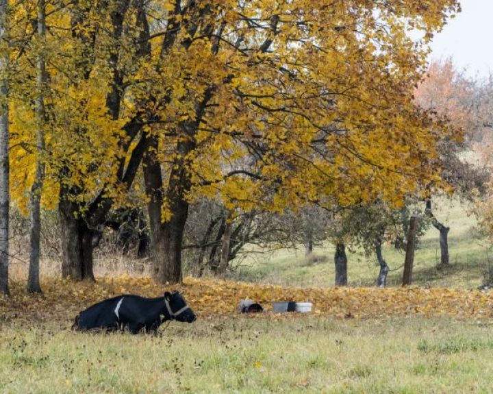 Nelaimė Alytuje atskleidė valdančiųjų negebėjimą tvarkytis